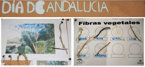 Día de Andalucía. Visita al Jardín Botánico de San Fernando